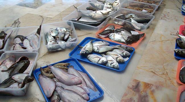 Urla’dan bir müjdeli haber daha