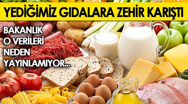 Yediğimiz gıdalara zehir karıştı