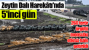 Zeytin Dalı Harekâtı'nda 5'inci gün