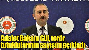 Adalet Bakanı Gül, terör tutuklularının sayısını açıkladı
