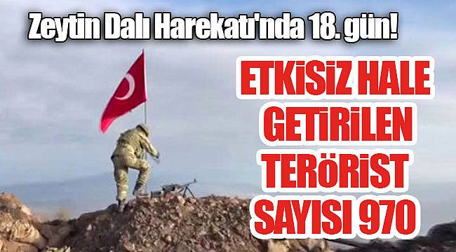 Afrin'e Zeytin Dalı Harekatı'nda 18. gün!
