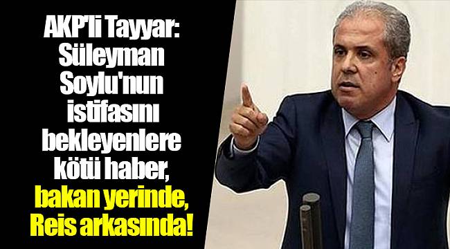 AKP'li Tayyar: Süleyman Soylu'nun istifasını bekleyenlere kötü haber, bakan yerinde, Reis arkasında!