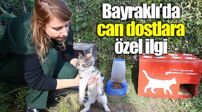 Bayraklı’da can dostlara özel ilgi
