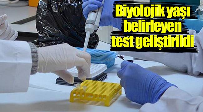 Biyolojik yaşı belirleyen test geliştirildi