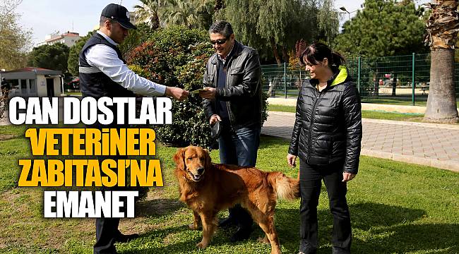 Can Dostlar ‘Veteriner Zabıtası’na Emanet