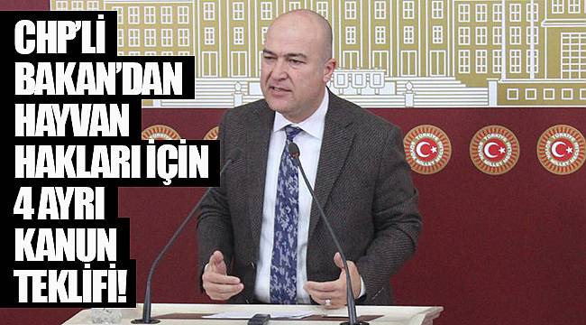 CHP’Lİ BAKAN’DAN HAYVAN HAKLARI İÇİN 4 AYRI KANUN TEKLİFİ!