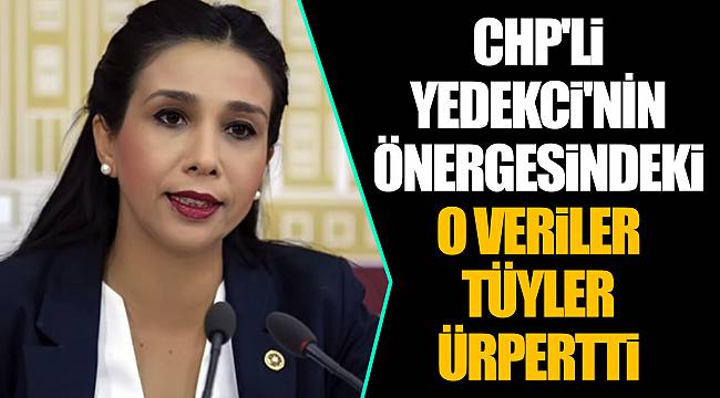 CHP'Lİ YEDEKCİ'NİN ÖNERGESİNDEKİ O VERİLER TÜYLER ÜRPERTTİ
