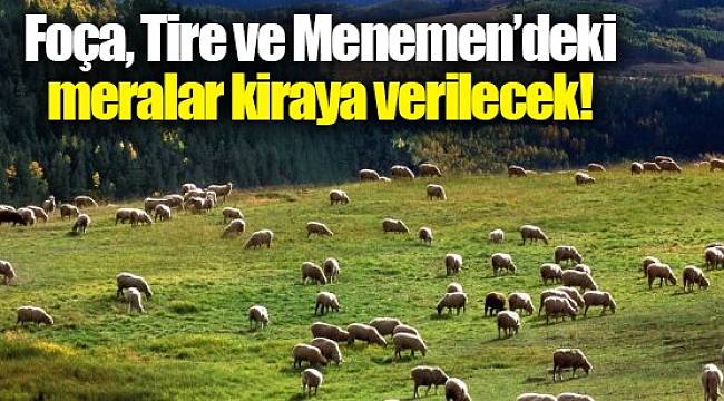 Foça, Tire ve Menemen’deki meralar kiraya verilecek!