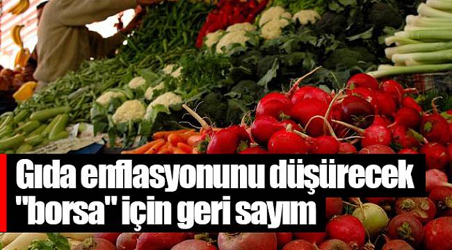 Gıda enflasyonunu düşürecek "borsa" için geri sayım