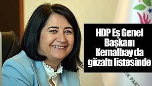 HDP Eş Genel Başkanı Kemalbay da gözaltı listesinde
