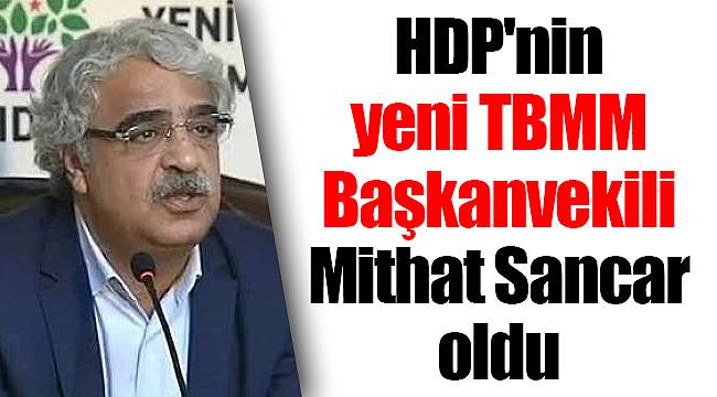 HDP'nin yeni TBMM Başkanvekili Mithat Sancar oldu