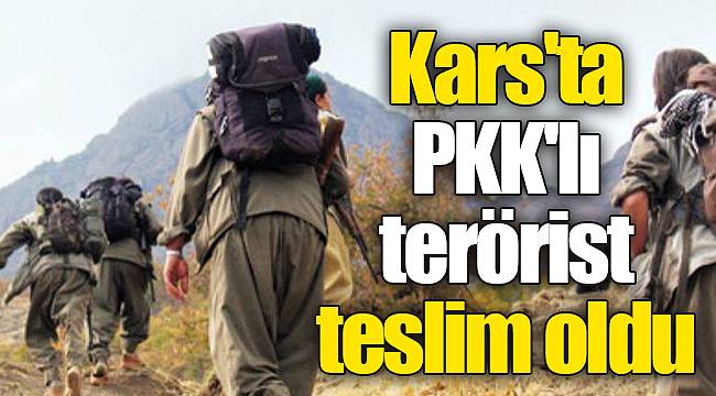 Kars'ta PKK'lı terörist teslim oldu