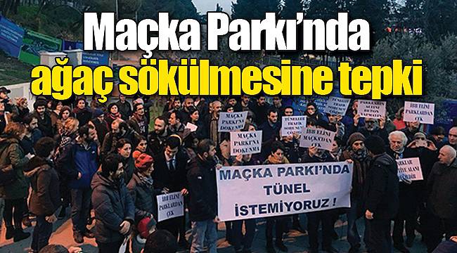 Maçka Parkı’nda ağaç sökülmesine tepki