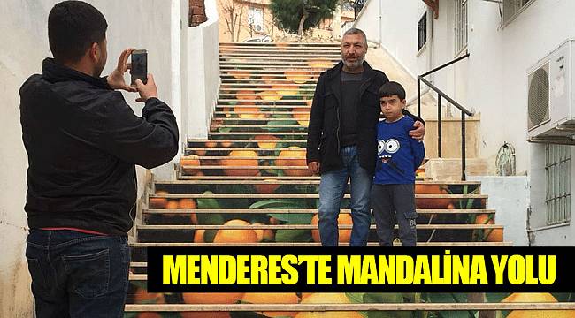 Menderes'te Mandalina yolu