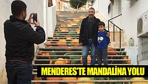 Menderes'te Mandalina yolu