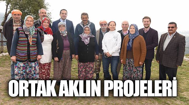 Ortak Aklın projeleri