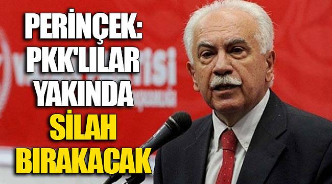 Perinçek: PKK'lılar yakında silah bırakacak