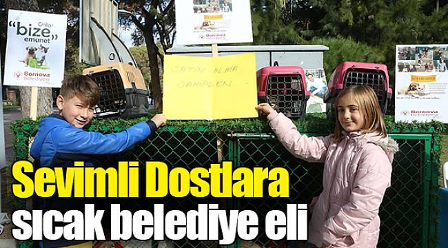 Sevimli Dostlara sıcak belediye eli