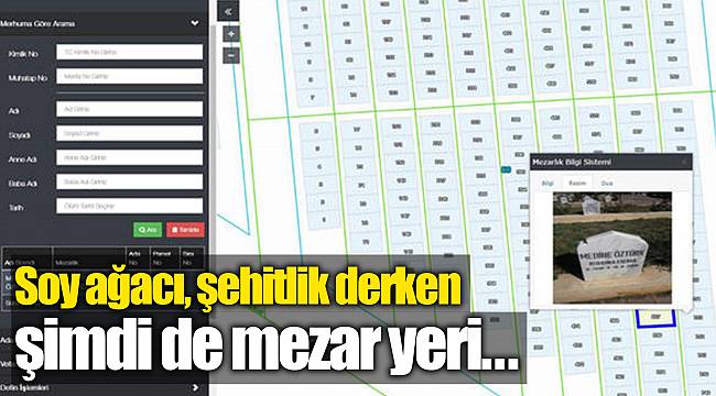 Soy ağacı, şehitlik derken şimdi de mezar yeri...