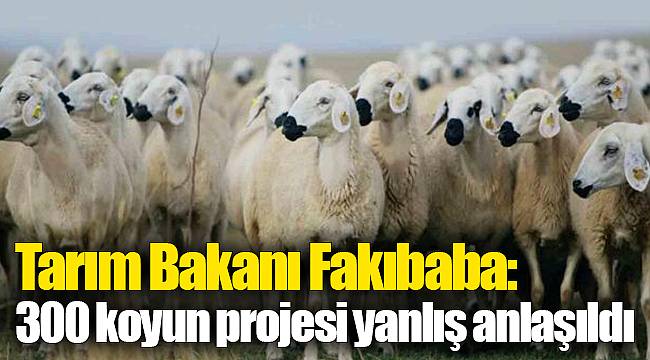Tarım Bakanı Fakıbaba: 300 koyun projesi yanlış anlaşıldı