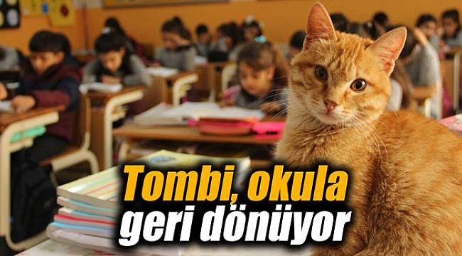 Tombi, okula geri dönüyor