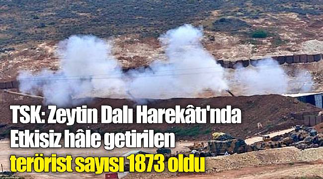 TSK: Zeytin Dalı Harekâtı'nda etkisiz hâle getirilen terörist sayısı 1873 oldu
