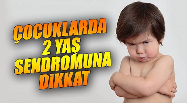 Uzmanlar uyardı! Çocuklarda 2 yaş sendromuna dikkat