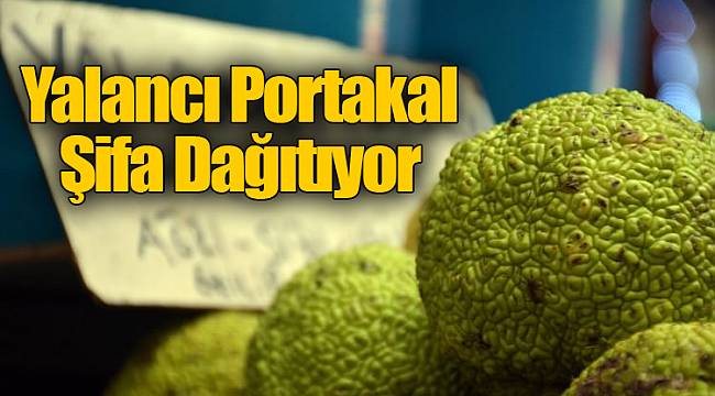 Yalancı Portakal Şifa Dağıtıyor