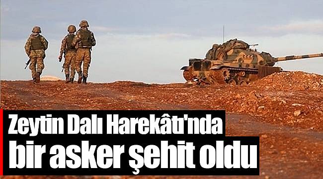 Zeytin Dalı Harekâtı'nda bir asker şehit oldu