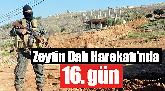 Zeytin Dalı Harekatı'nda 16. gün