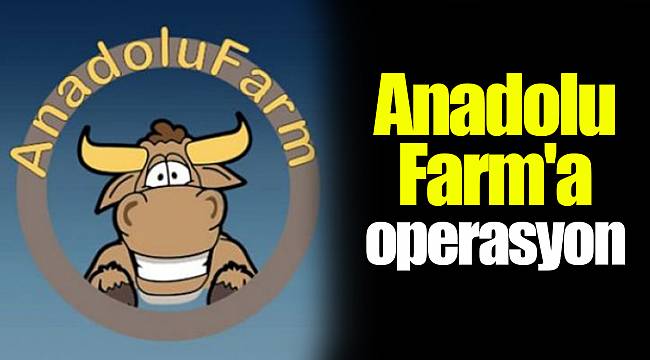 Anadolu Farm'a operasyon