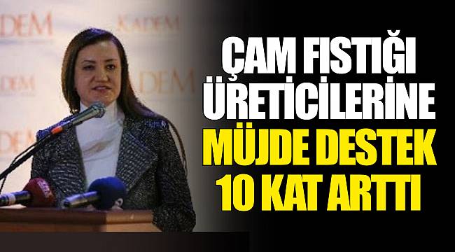 ÇAM FISTIĞI ÜRETİCİLERİNE MÜJDE DESTEK 10 KAT ARTTI