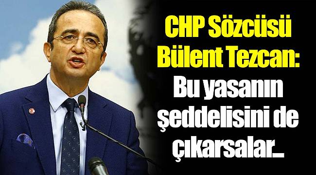 CHP Sözcüsü Bülent Tezcan: Bu yasanın şeddelisini de çıkarsalar...