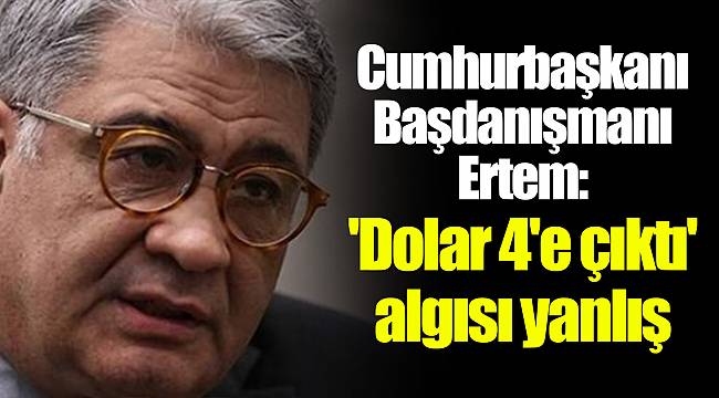 Cumhurbaşkanı Başdanışmanı Ertem: 'Dolar 4'e çıktı' algısı yanlış