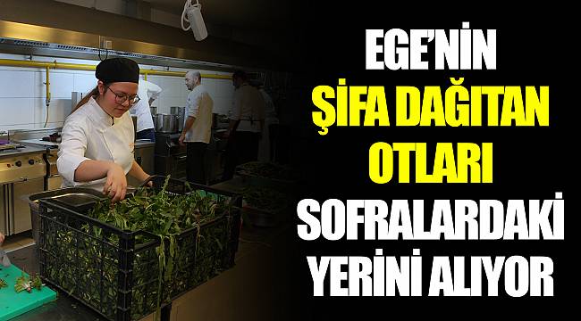 EGE’NİN ŞİFA DAĞITAN OTLARI SOFRALARDAKİ YERİNİ ALIYOR