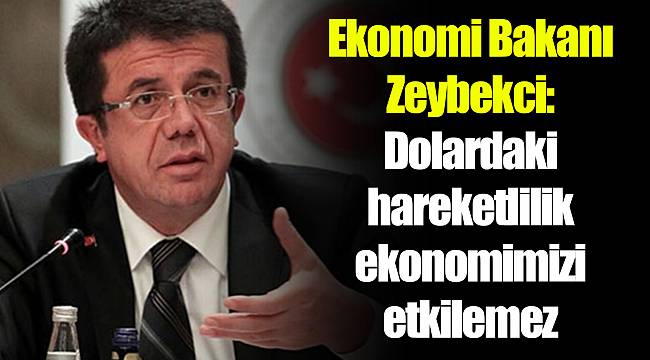 Ekonomi Bakanı Zeybekci: Dolardaki hareketlilik ekonomimizi etkilemez