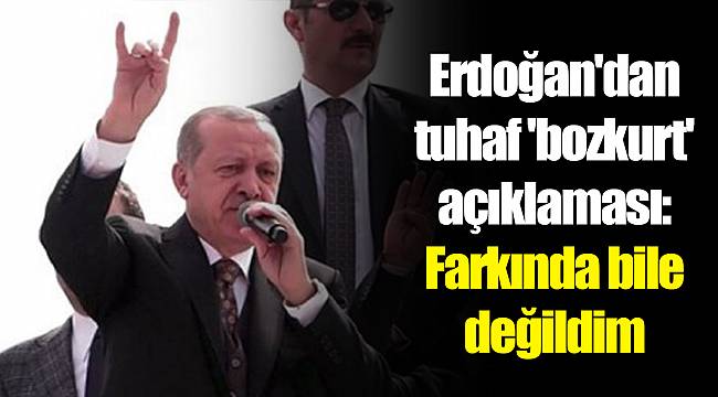 Erdoğan'dan tuhaf 'bozkurt' açıklaması: Farkında bile değildim