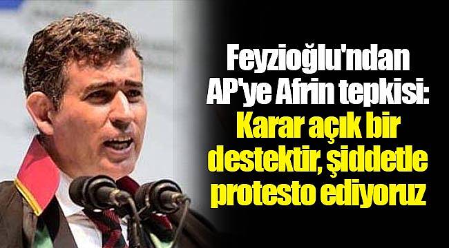 Feyzioğlu'ndan AP'ye Afrin tepkisi: Karar açık bir destektir, şiddetle protesto ediyoruz