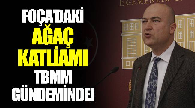 FOÇA’DAKİ AĞAÇ KATLİAMI TBMM GÜNDEMİNDE!