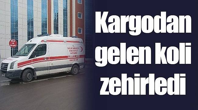 Kargodan gelen koli zehirledi