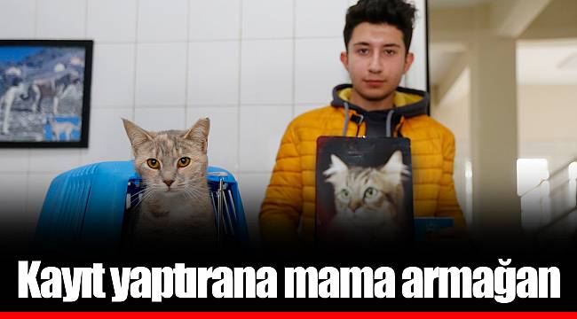 Kayıt yaptırana mama armağan