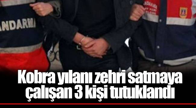 Kobra yılanı zehri satmaya çalışan 3 kişi tutuklandı