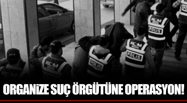 Organize suç örgütüne operasyon!