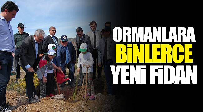 ORMANLARA BİNLERCE YENİ FİDAN