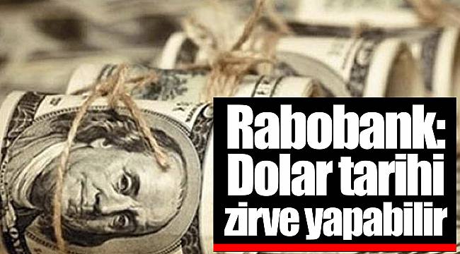 Rabobank: Dolar tarihi zirve yapabilir