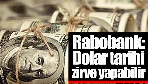 Rabobank: Dolar tarihi zirve yapabilir