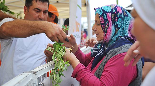 Seferihisar Tohum Bayramı’na Hazırlanıyor