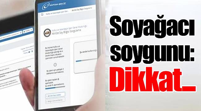 Soyağacı soygunu: Dikkat...