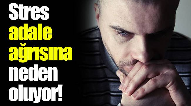 Stres adale ağrısına neden oluyor!