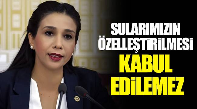 SULARIMIZIN ÖZELLEŞTİRİLMESİ KABUL EDİLEMEZ